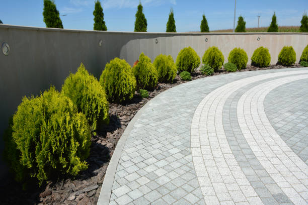 Best Driveway Pavers Near Me  in Craig, CO